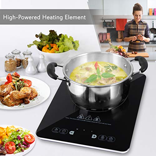 10 Best Portable Induction Cooktop Reviews 2020 Ultimate Guide