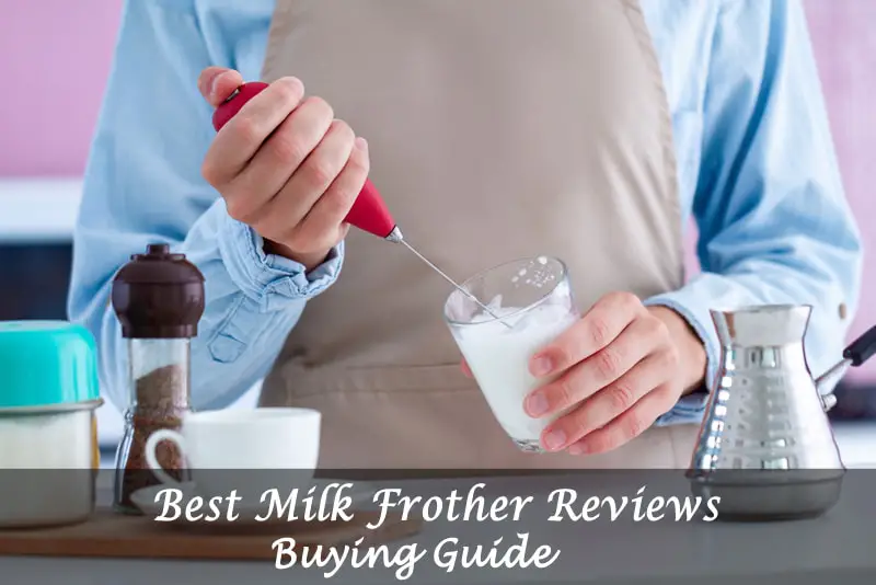 best milk frother reviews