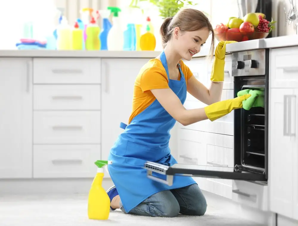 best oven cleaner for self cleaning oven buying guides