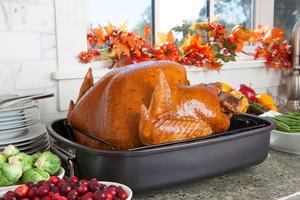 best turkey roaster oven reviews
